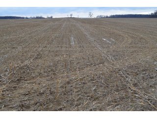 Property photo 23 - LAND AUCTION - 80+/- ACRES OFFERED IN 4 TRACTS IN NORTHEAST ALLEN COUNTY, INDIANA