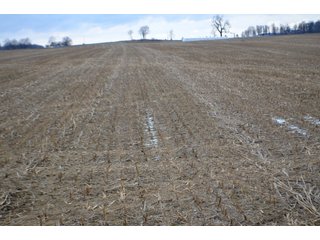 Property photo 12 - LAND AUCTION - 80+/- ACRES OFFERED IN 4 TRACTS IN NORTHEAST ALLEN COUNTY, INDIANA