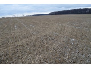 Property photo 38 - LAND AUCTION - 80+/- ACRES OFFERED IN 4 TRACTS IN NORTHEAST ALLEN COUNTY, INDIANA