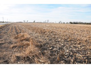 Property photo 12 - REAL ESTATE AUCTION - 100+/- ACRES OFFERED IN 3 TRACTS IN NEWTON COUNTY, INDIANA