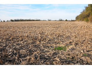 Property photo 17 - REAL ESTATE AUCTION - 100+/- ACRES OFFERED IN 3 TRACTS IN NEWTON COUNTY, INDIANA