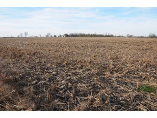 Property photo 9 - REAL ESTATE AUCTION - 100+/- ACRES OFFERED IN 3 TRACTS IN NEWTON COUNTY, INDIANA