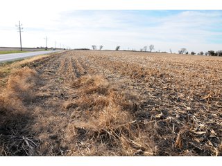 Property photo 8 - REAL ESTATE AUCTION - 100+/- ACRES OFFERED IN 3 TRACTS IN NEWTON COUNTY, INDIANA