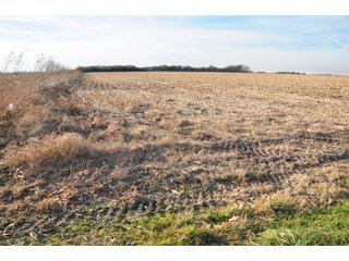 Property photo 20 - REAL ESTATE AUCTION - 100+/- ACRES OFFERED IN 3 TRACTS IN NEWTON COUNTY, INDIANA