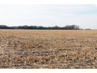 Property photo 10 - REAL ESTATE AUCTION - 100+/- ACRES OFFERED IN 3 TRACTS IN NEWTON COUNTY, INDIANA