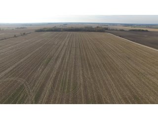 Property photo 13 - REAL ESTATE AUCTION - 100+/- ACRES OFFERED IN 3 TRACTS IN NEWTON COUNTY, INDIANA