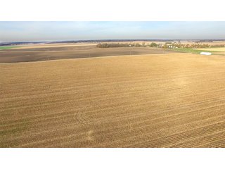 Property photo 6 - REAL ESTATE AUCTION - 100+/- ACRES OFFERED IN 3 TRACTS IN NEWTON COUNTY, INDIANA