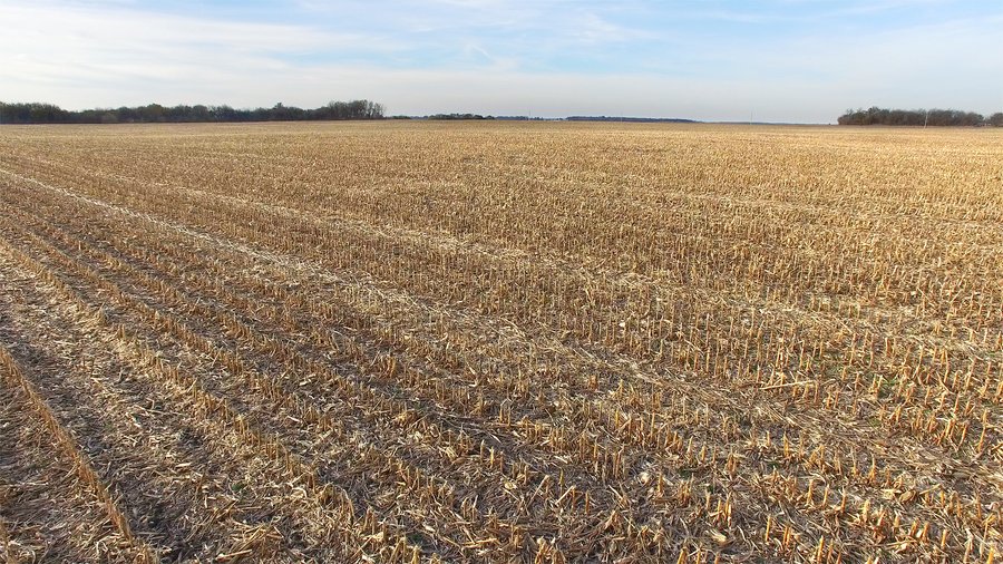REAL ESTATE AUCTION - 100+/- ACRES OFFERED IN 3 TRACTS IN NEWTON COUNTY, INDIANA