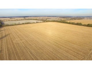Property photo 5 - REAL ESTATE AUCTION - 100+/- ACRES OFFERED IN 3 TRACTS IN NEWTON COUNTY, INDIANA