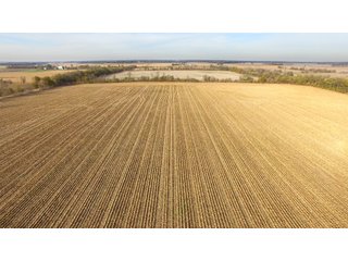 Property photo 14 - REAL ESTATE AUCTION - 100+/- ACRES OFFERED IN 3 TRACTS IN NEWTON COUNTY, INDIANA