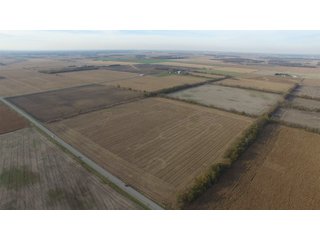 Property photo 11 - REAL ESTATE AUCTION - 100+/- ACRES OFFERED IN 3 TRACTS IN NEWTON COUNTY, INDIANA