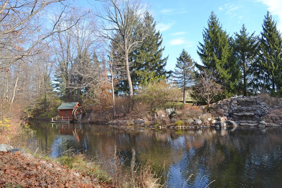 ABSOLUTE AUCTION - 15.2+/- ACRES OFFERED IN 3 TRACTS IN BOONE & HAMILTON COUNTIES, INDIANA
