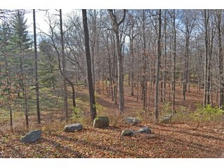 TRACT 3 - ABSOLUTE AUCTION - 15.2+/- ACRES OFFERED IN 3 TRACTS IN BOONE & HAMILTON COUNTIES, INDIANA