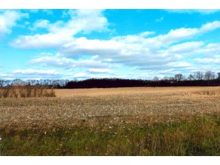 Property photo 5 - LAND AUCTION - 303+/- ACRES OFFERED IN 7 TRACTS IN LAPORTE COUNTY, INDIANA