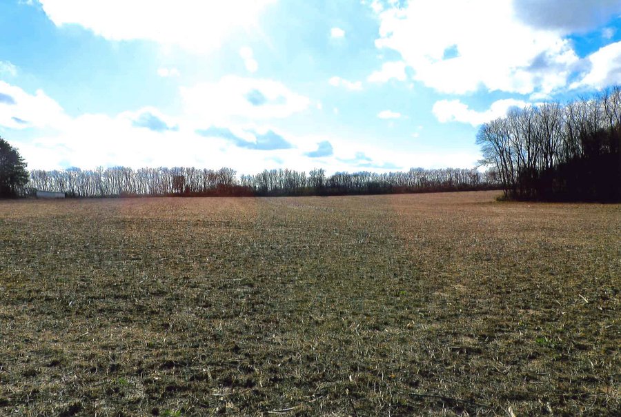 LAND AUCTION - 303+/- ACRES OFFERED IN 7 TRACTS IN LAPORTE COUNTY, INDIANA