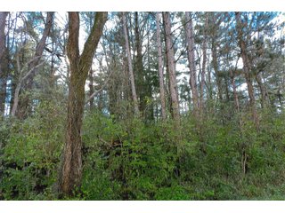 Property photo 1 - LAND AUCTION - 303+/- ACRES OFFERED IN 7 TRACTS IN LAPORTE COUNTY, INDIANA