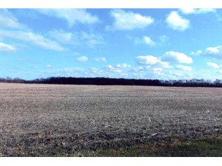 Property photo 4 - LAND AUCTION - 303+/- ACRES OFFERED IN 7 TRACTS IN LAPORTE COUNTY, INDIANA