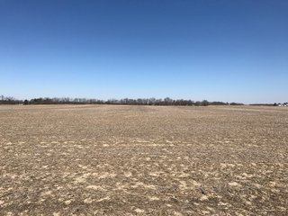 TRACT 1 - LAND AUCTION - 119+/- ACRES OFFERED IN 4 TRACTS IN HAMILTON COUNTY, INDIANA