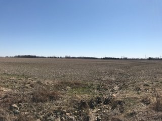 TRACT 1 - LAND AUCTION - 119+/- ACRES OFFERED IN 4 TRACTS IN HAMILTON COUNTY, INDIANA
