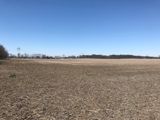 TRACT 3 - LAND AUCTION - 119+/- ACRES OFFERED IN 4 TRACTS IN HAMILTON COUNTY, INDIANA