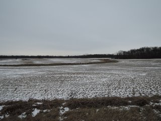 Property photo 2 - LAND AUCTION - 260+/- ACRES IN 7 TRACTS IN BLACKFORD CO., INDIANA