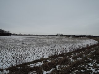 Property photo 13 - LAND AUCTION - 260+/- ACRES IN 7 TRACTS IN BLACKFORD CO., INDIANA