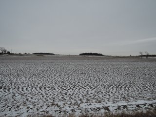 Property photo 10 - LAND AUCTION - 260+/- ACRES IN 7 TRACTS IN BLACKFORD CO., INDIANA
