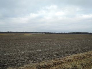 Property photo 12 - LAND AUCTION - 260+/- ACRES IN 7 TRACTS IN BLACKFORD CO., INDIANA