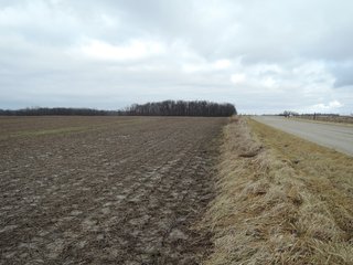Property photo 4 - LAND AUCTION - 260+/- ACRES IN 7 TRACTS IN BLACKFORD CO., INDIANA