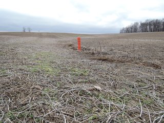 Property photo 1 - LAND AUCTION - 260+/- ACRES IN 7 TRACTS IN BLACKFORD CO., INDIANA
