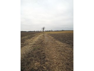 Property photo 6 - LAND AUCTION - 260+/- ACRES IN 7 TRACTS IN BLACKFORD CO., INDIANA