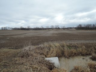 TRACT 7 - LAND AUCTION - 260+/- ACRES IN 7 TRACTS IN BLACKFORD CO., INDIANA