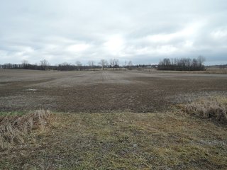 Property photo 5 - LAND AUCTION - 260+/- ACRES IN 7 TRACTS IN BLACKFORD CO., INDIANA