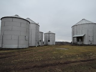 TRACT 4 - LAND AUCTION - 260+/- ACRES IN 7 TRACTS IN BLACKFORD CO., INDIANA