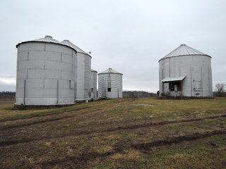 TRACT 4 - LAND AUCTION - 260+/- ACRES IN 7 TRACTS IN BLACKFORD CO., INDIANA