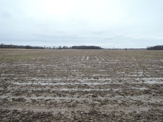 Property photo 8 - LAND AUCTION - 260+/- ACRES IN 7 TRACTS IN BLACKFORD CO., INDIANA