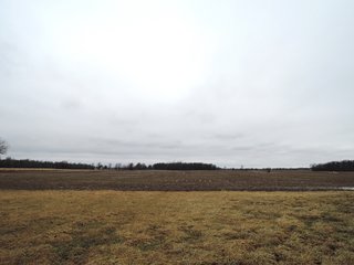 Property photo 7 - LAND AUCTION - 260+/- ACRES IN 7 TRACTS IN BLACKFORD CO., INDIANA