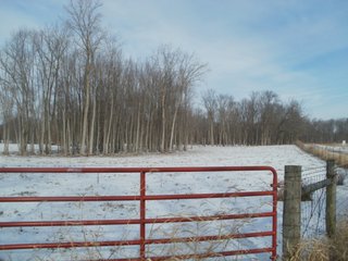 TRACT 9 - REAL ESTATE AUCTION - 830+/- ACRES IN 20 TRACTS IN HANCOCK & SHELBY COUNTIES, INDIANA