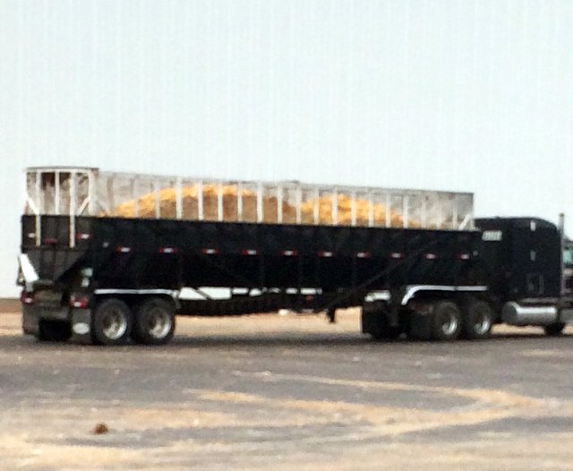 Property photo 41 - PLATO CONSIGNMENT AUCTION IN LAGRANGE COUNTY, INDIANA