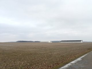 Property photo 5 - LAND AUCTION - 54.1+/- ACRES OFFERED IN 2 TRACTS IN NOBLE COUNTY, INDIANA