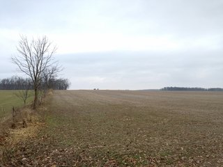 Property photo 2 - LAND AUCTION - 54.1+/- ACRES OFFERED IN 2 TRACTS IN NOBLE COUNTY, INDIANA