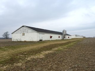 Property photo 3 - LAND AUCTION - 54.1+/- ACRES OFFERED IN 2 TRACTS IN NOBLE COUNTY, INDIANA