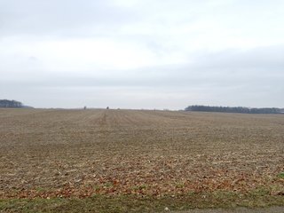 Property photo 4 - LAND AUCTION - 54.1+/- ACRES OFFERED IN 2 TRACTS IN NOBLE COUNTY, INDIANA