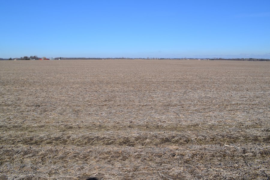 LAND AUCTION - 91+/- ACRES OFFERED IN 3 TRACTS IN LAKE COUNTY, INDIANA