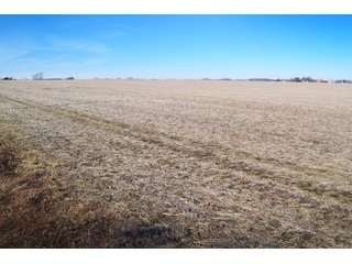 Property photo 6 - LAND AUCTION - 91+/- ACRES OFFERED IN 3 TRACTS IN LAKE COUNTY, INDIANA
