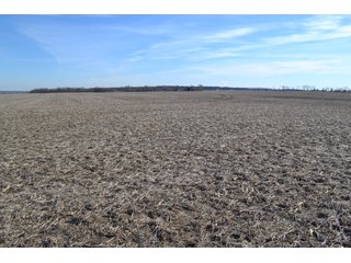 Property photo 9 - LAND AUCTION - 91+/- ACRES OFFERED IN 3 TRACTS IN LAKE COUNTY, INDIANA