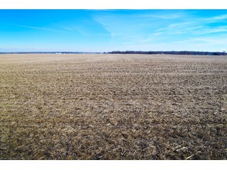 Property photo 4 - LAND AUCTION - 91+/- ACRES OFFERED IN 3 TRACTS IN LAKE COUNTY, INDIANA