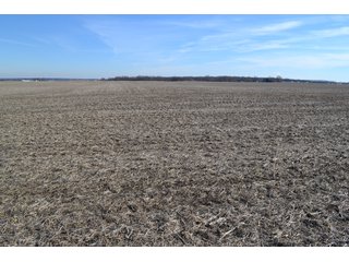 Property photo 5 - LAND AUCTION - 91+/- ACRES OFFERED IN 3 TRACTS IN LAKE COUNTY, INDIANA