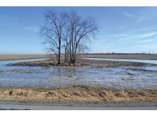 Property photo 8 - LAND AUCTION - 91+/- ACRES OFFERED IN 3 TRACTS IN LAKE COUNTY, INDIANA