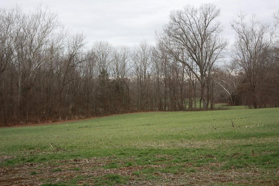 LAND AUCTION - 138+/- ACRES OFFERED IN 3 TRACTS IN SPENCER COUNTY, INDIANA